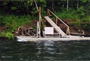 Salmon trap (catch and release study)