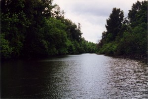 Wilamette River