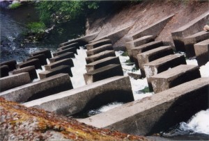 Water feature