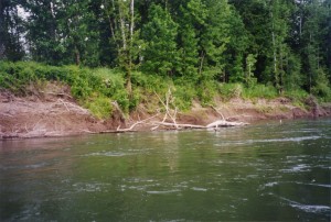 Wilamette River