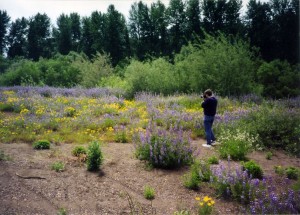 Bart photographs the flowers