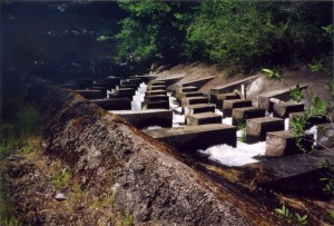 Water feature