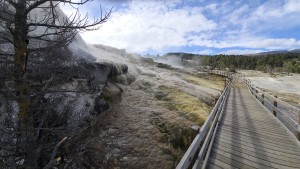 Mammoth Hot Springs