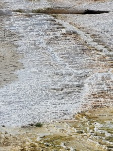 Mammoth Hot Springs (Les)