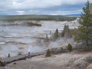 Norris geyser basin (Les)