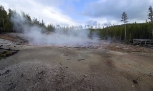 Norris geyser basin