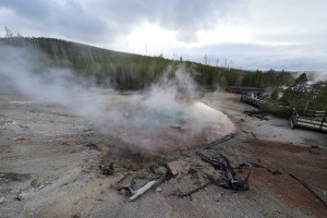 Norris geyser basin