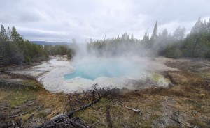 Norris geyser basin