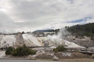 Mammoth Hot Springs