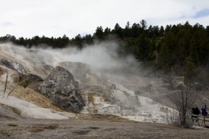 Mammoth Hot Springs