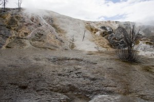 Mammoth Hot Springs