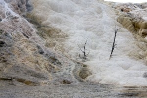 Mammoth Hot Springs