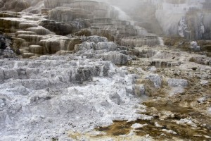 Mammoth Hot Springs