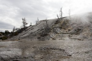 Mammoth Hot Springs