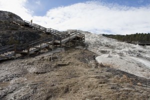 Mammoth Hot Springs