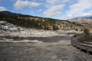 Mammoth Hot Springs