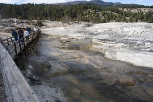 Mammoth Hot Springs