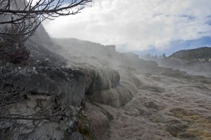 Mammoth Hot Springs