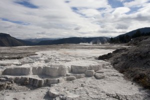 Mammoth Hot Springs