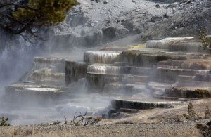 Mammoth Hot Springs