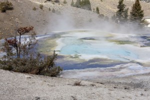 Mammoth Hot Springs