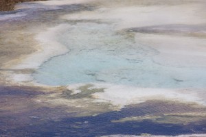 Mammoth Hot Springs