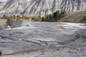 Mammoth Hot Springs