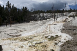 Mammoth Hot Springs