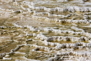 Mammoth Hot Springs