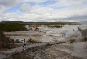 Norris geyser basin