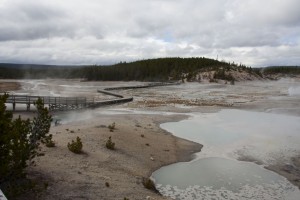 Norris geyser basin