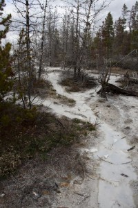 Norris geyser basin