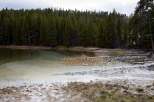 Norris geyser basin