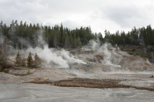 Norris geyser basin