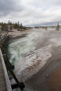 Norris geyser basin