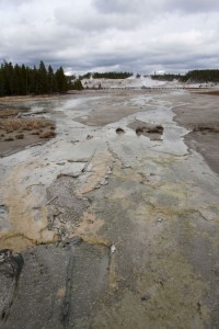 Norris geyser basin