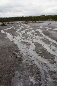 Norris geyser basin