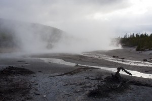 Norris geyser basin