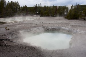 Norris geyser basin