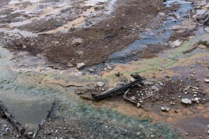 Norris geyser basin