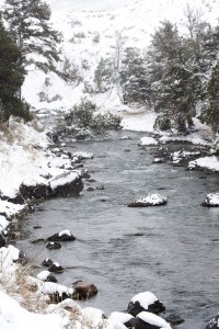 Snowy river