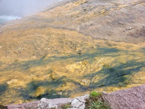 Grand Prismatic basin (Les)