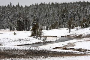 Old Faithful geyser basin