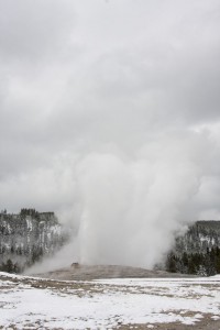 Old Faithful