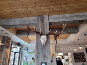 Antlers at the coffee place (Les)