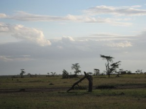 Maasai Mara (MAK)