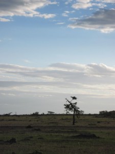 Maasai Mara (MAK)