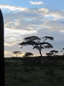 Maasai Mara (MAK)