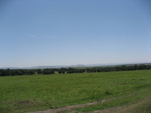 Maasai Mara