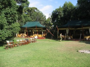 Elephant Pepper "lodge"